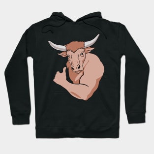 Taurus (Bull) Zodiac Sign Hoodie